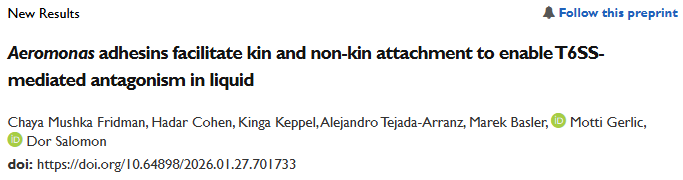 Dor Salomon tweet media