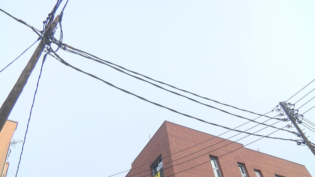 Canal Terrassa tweet media