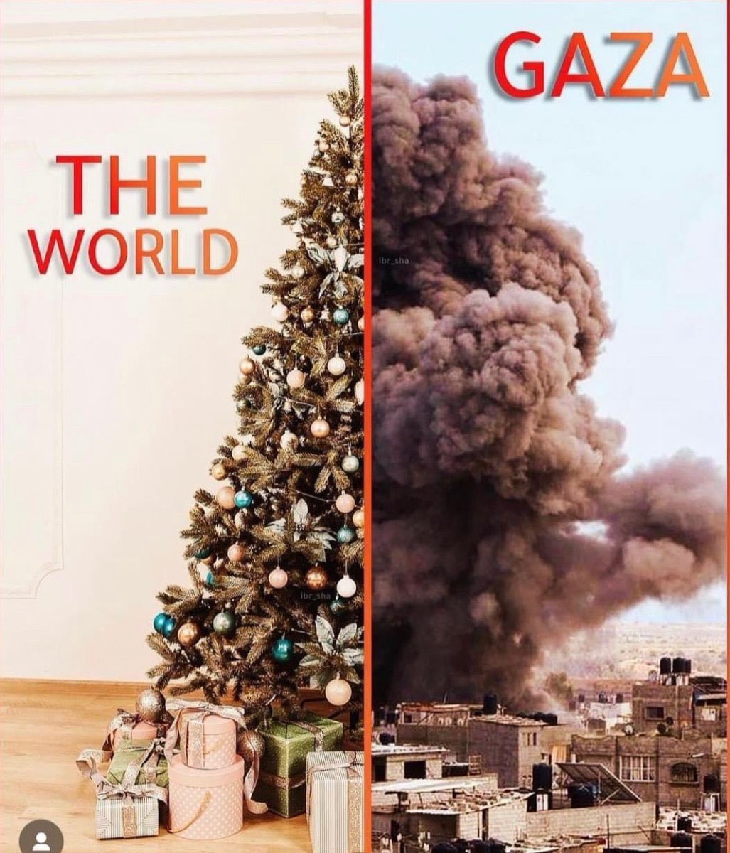Cara Senatrice #Segre

Ho letto attentamente il suo intervento sulla #giornatadellamemoria e sono felice che lei abbia nominato gli innocenti che muoiono a Gaza

Non capisco tuttavia perché si possa pensare anche per un solo momento che la condanna del genocidio dei Palestinesi