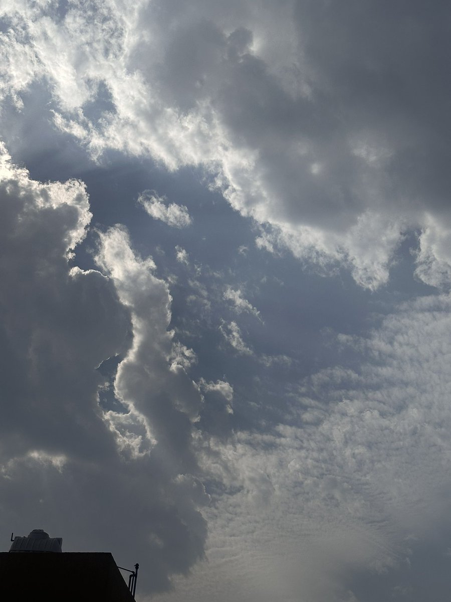 Alaa.mahsoon tweet media