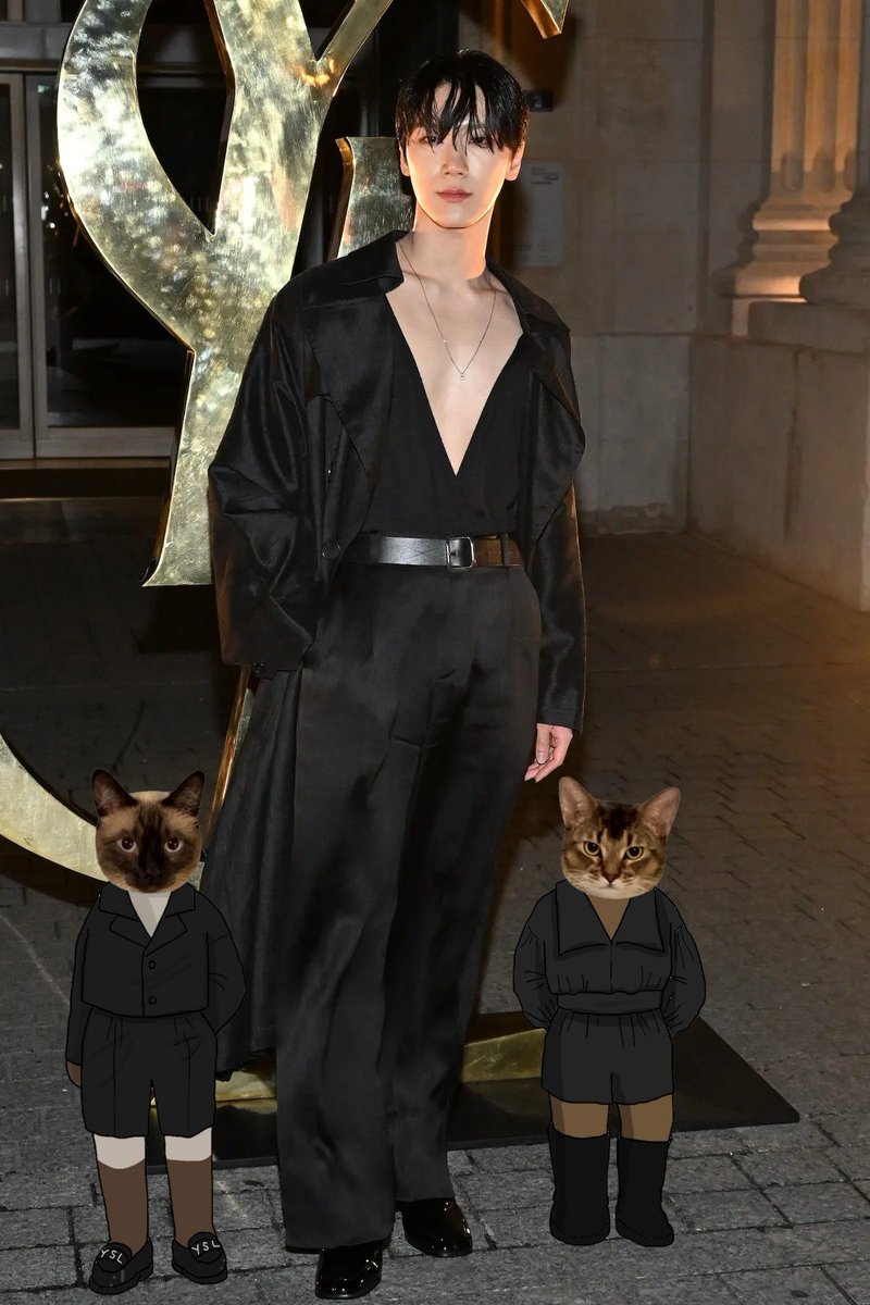 melon_gummy's tweet image. ☺️👍🏻✨🐱🐱🐱🐱✨
#SaintLaurentxTEN