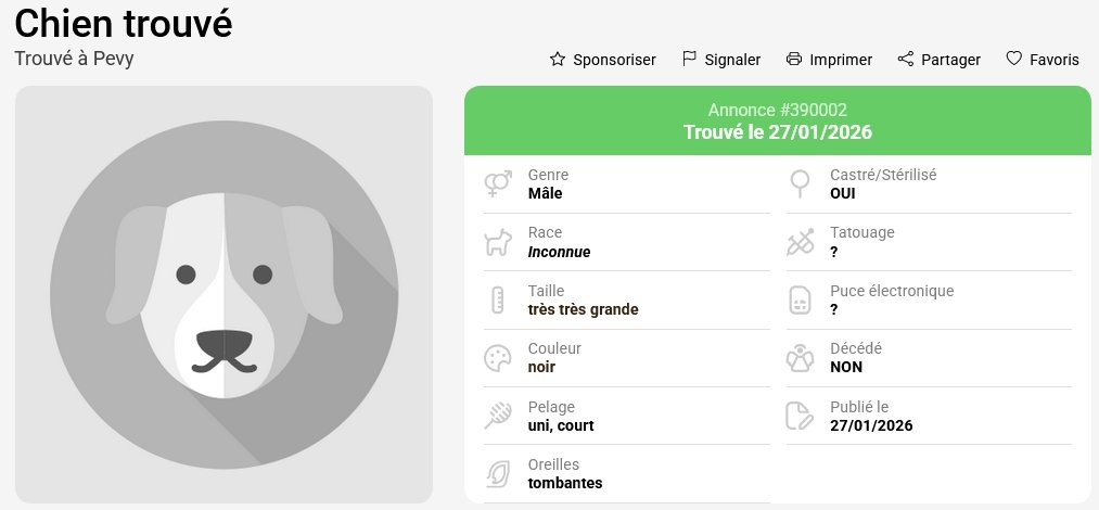 FreeLight51's tweet image. chien-perdu.org/fr-fr/390002