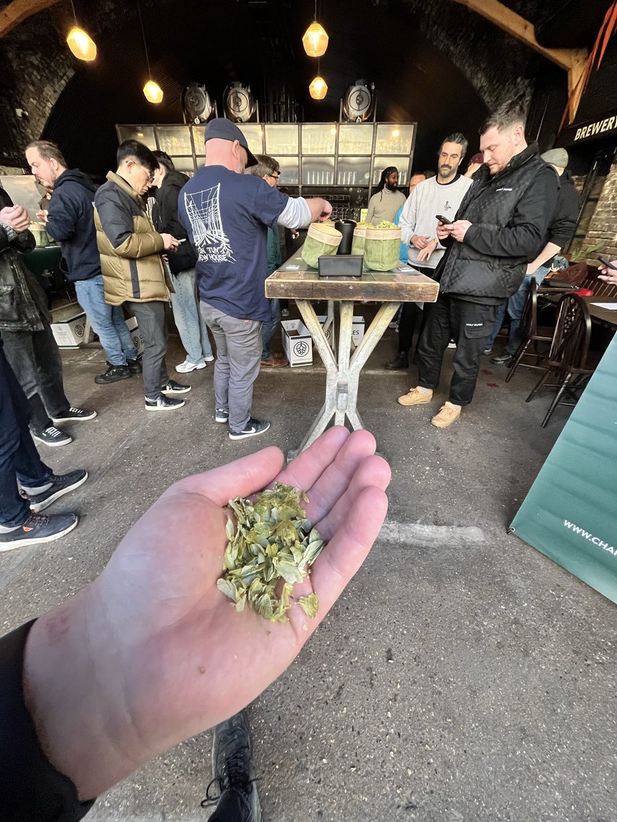rossthebrewer's tweet photo. Aromafest + London @CharlesFaram #hoptesting https://t.co/RMM03YCeub
