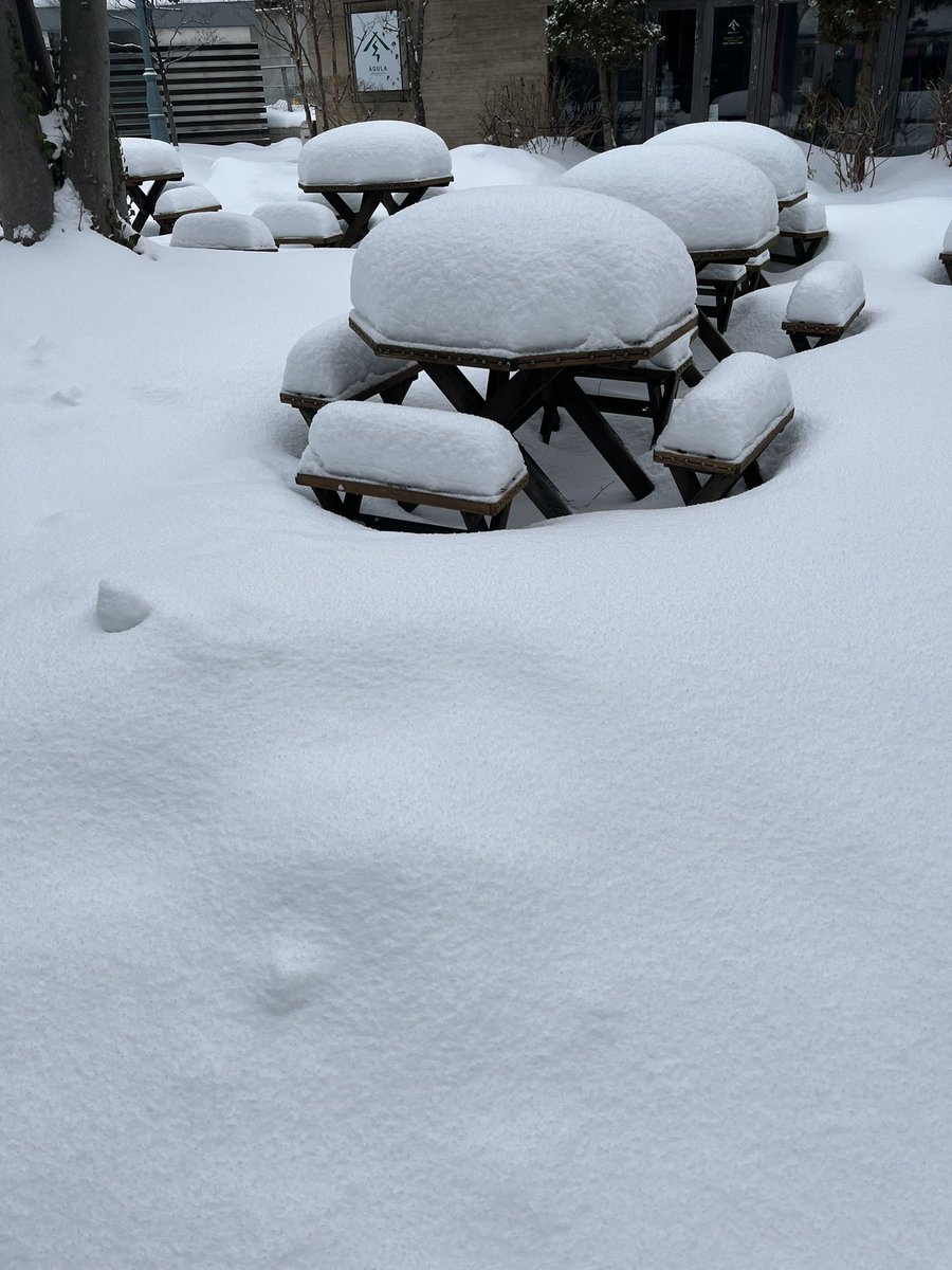 明日から、また寒波が来ると聞いて、震えてます❄️❄️❄️