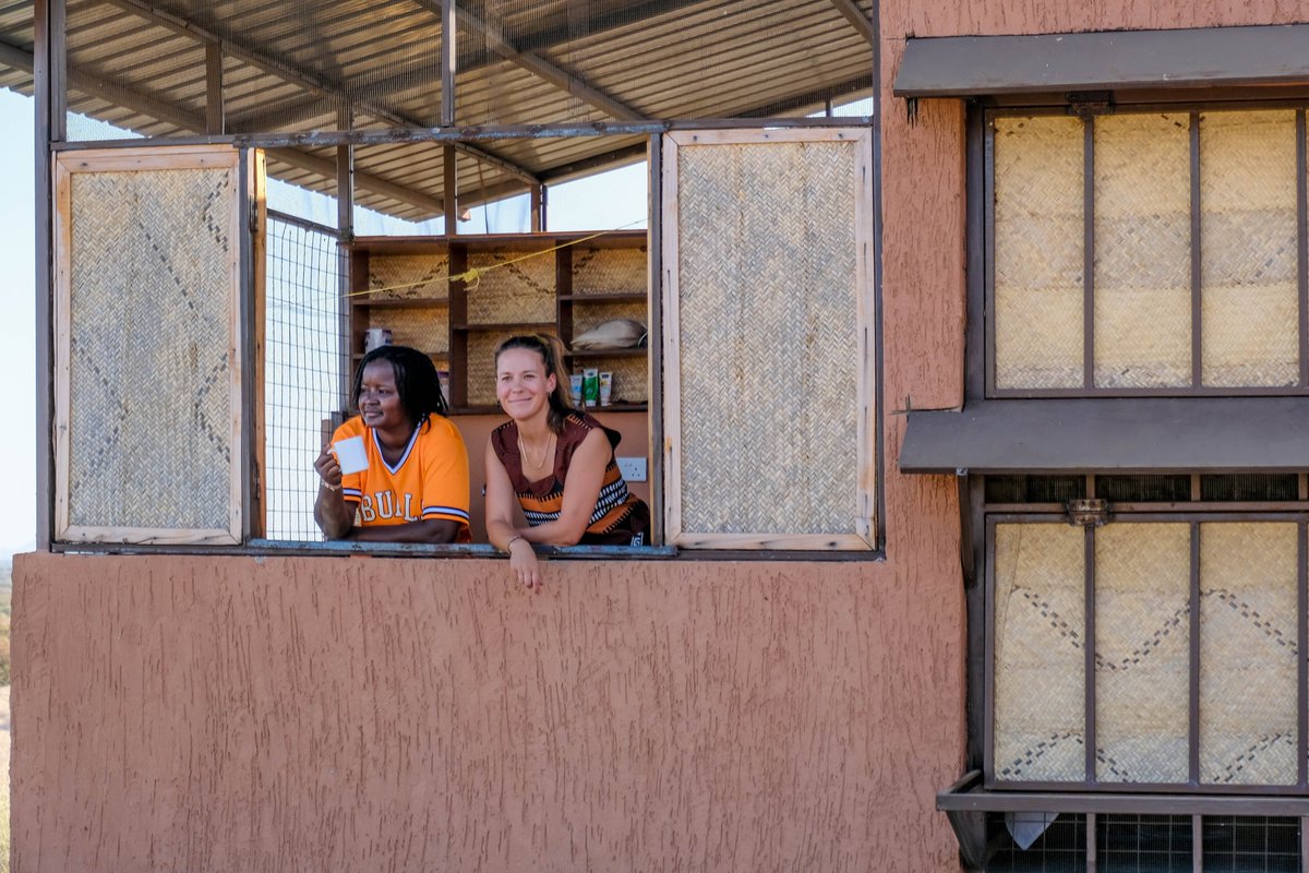 Learning Lions tweet media