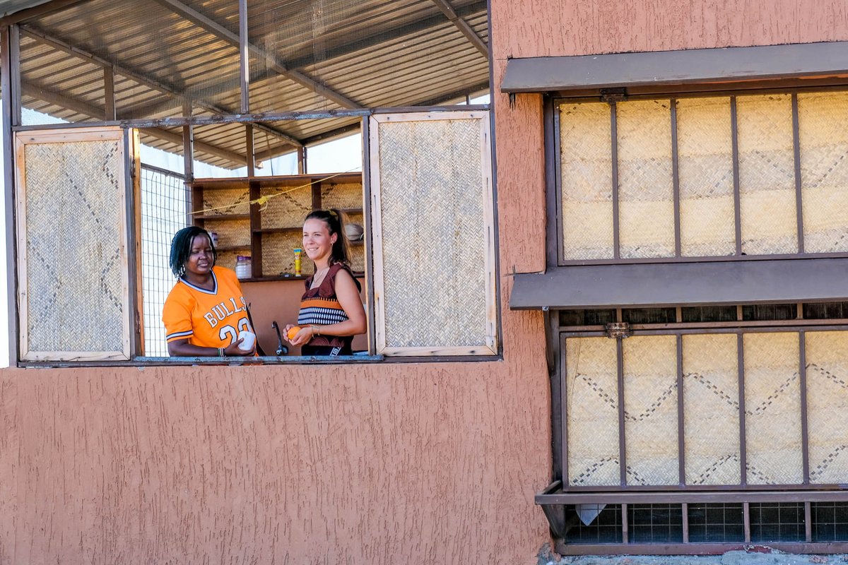 Learning Lions tweet media