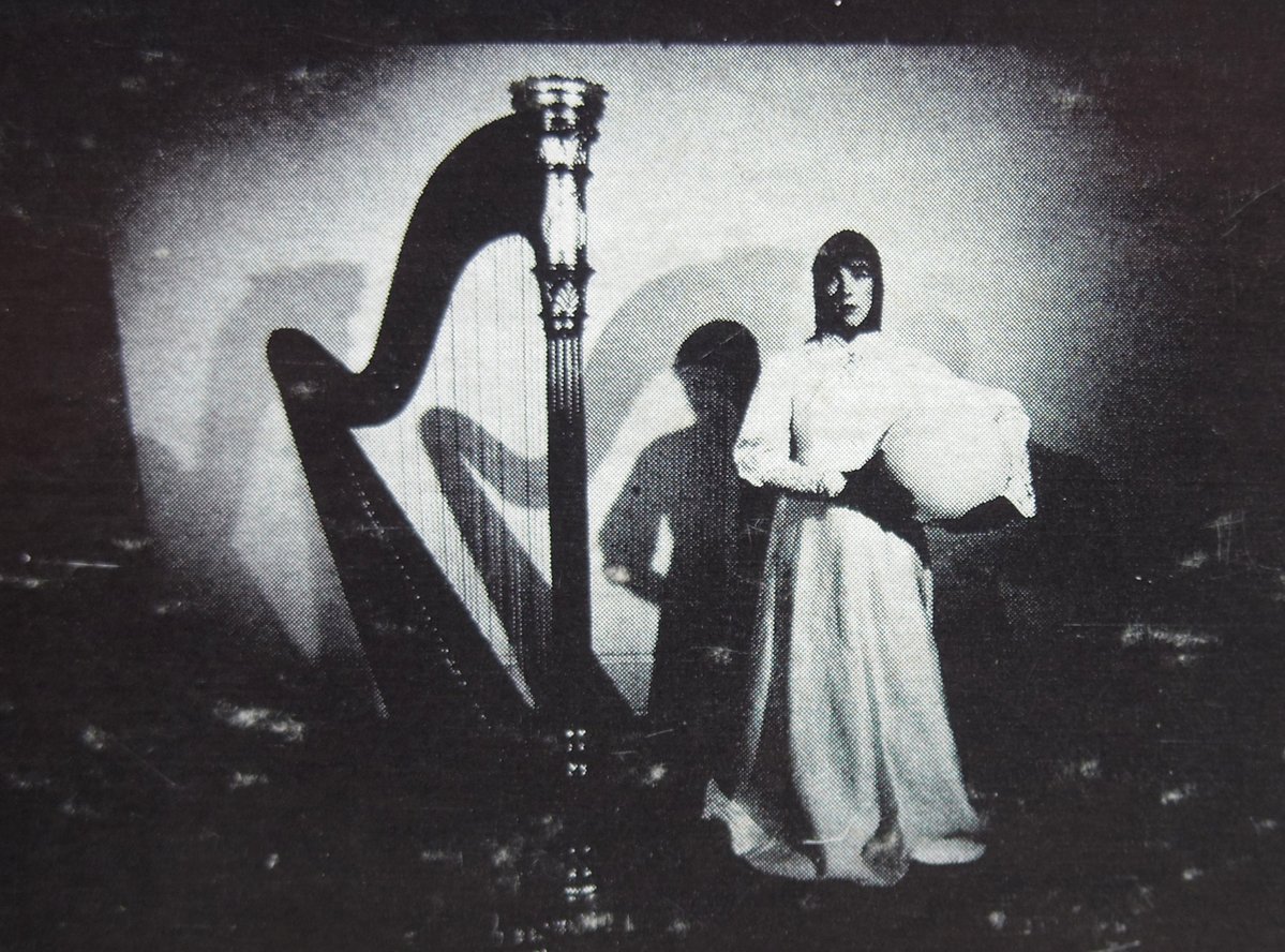 【2月14日まで選挙割！】更新が遅々として進まず通販は慢性的に完売状態なので、今回は店頭のみで開催。店頭には商品いっぱいあります。投票済証なくてもOK。中古品15％引き。期間中何度でも利用可。ご利用の都度、SNSでの #投票しました #衆院選2026 #選挙割 の拡散にご協力下さい。