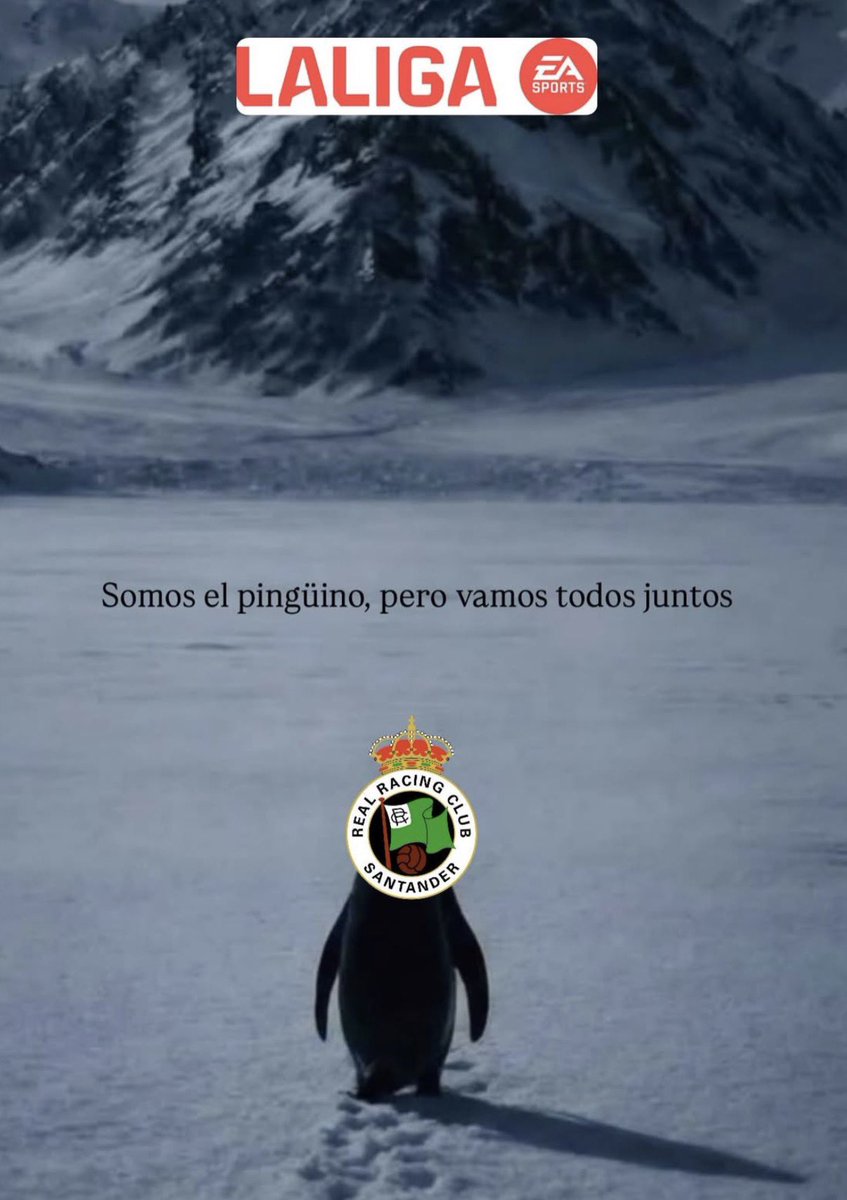 Somos ese pingüino 🫡