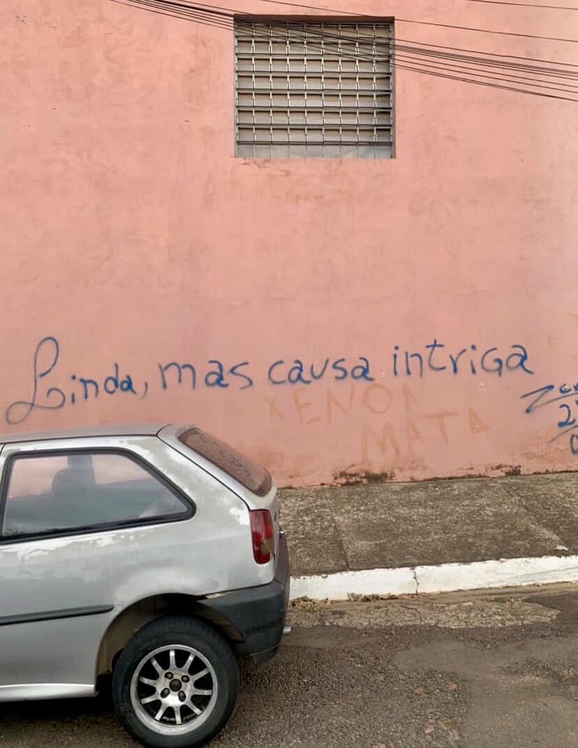 handpaintedbrazil tweet media