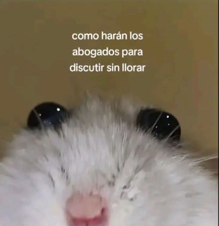 Lonely🥀 (@angelo_uf) on Twitter photo 