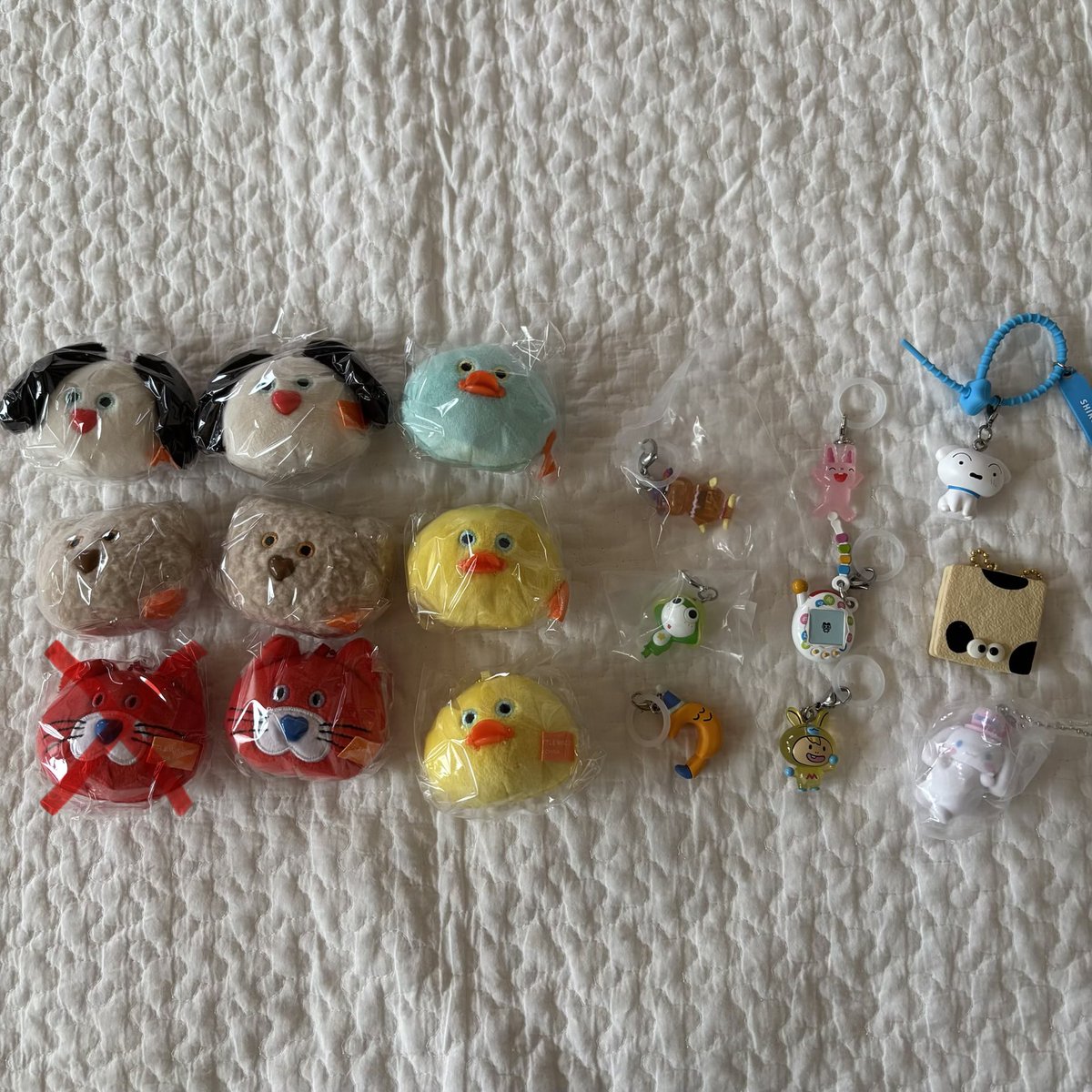 こはる︎🕊️🪄 tweet media