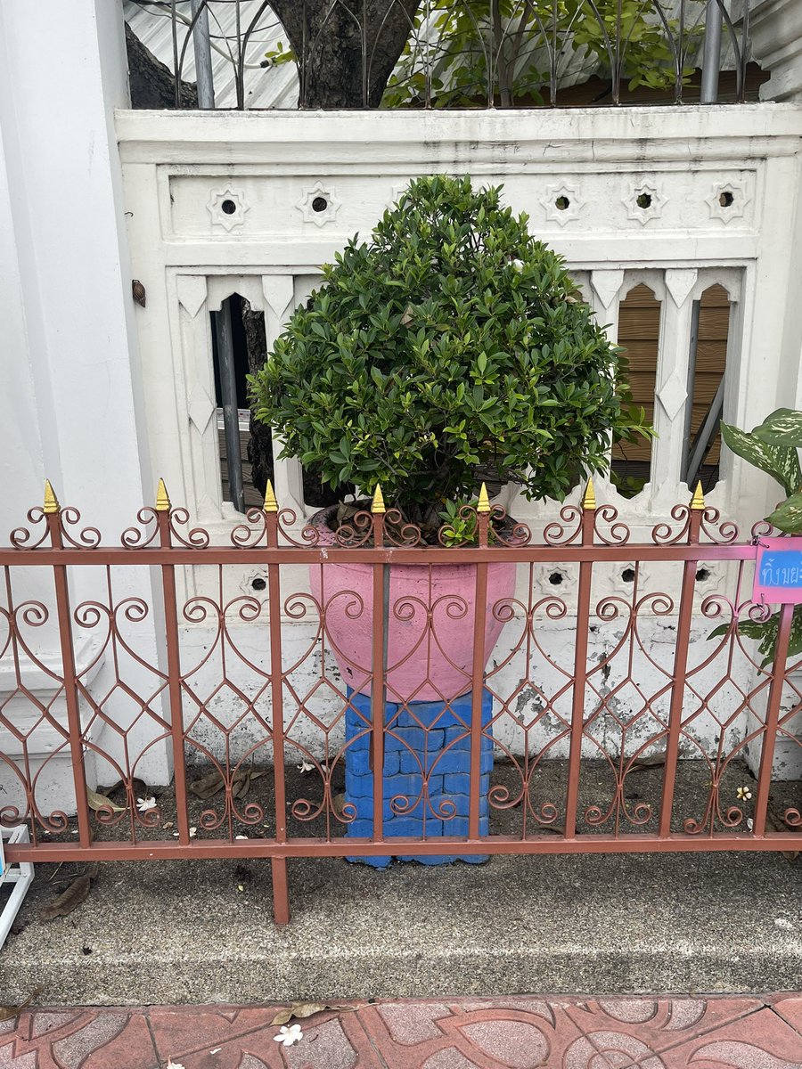 ชอบงานนี้สุดๆ ในฐานะคนที่ชอบcollective เหล็กดัด