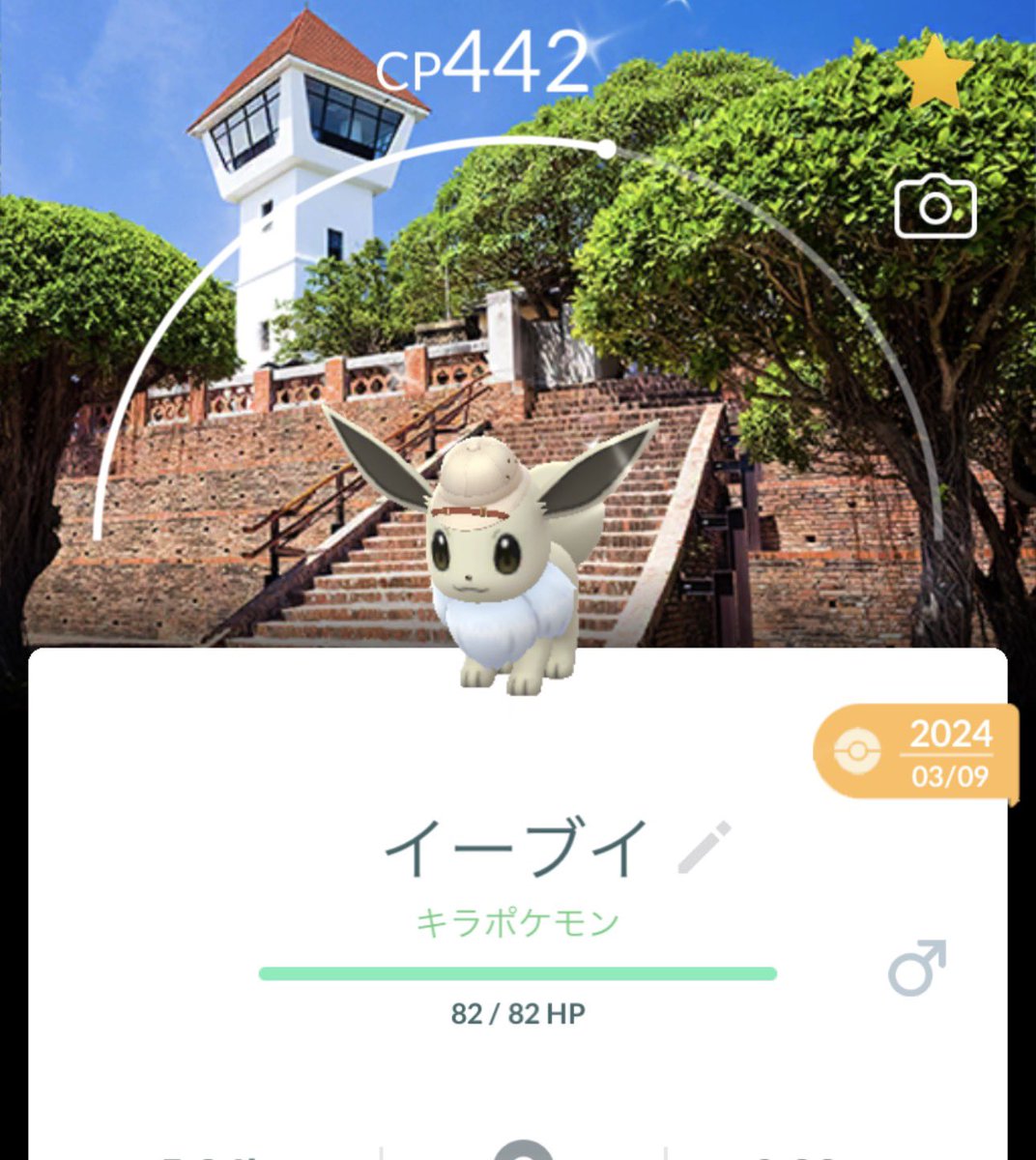 MA🤍ྀིポケモンGO tweet media