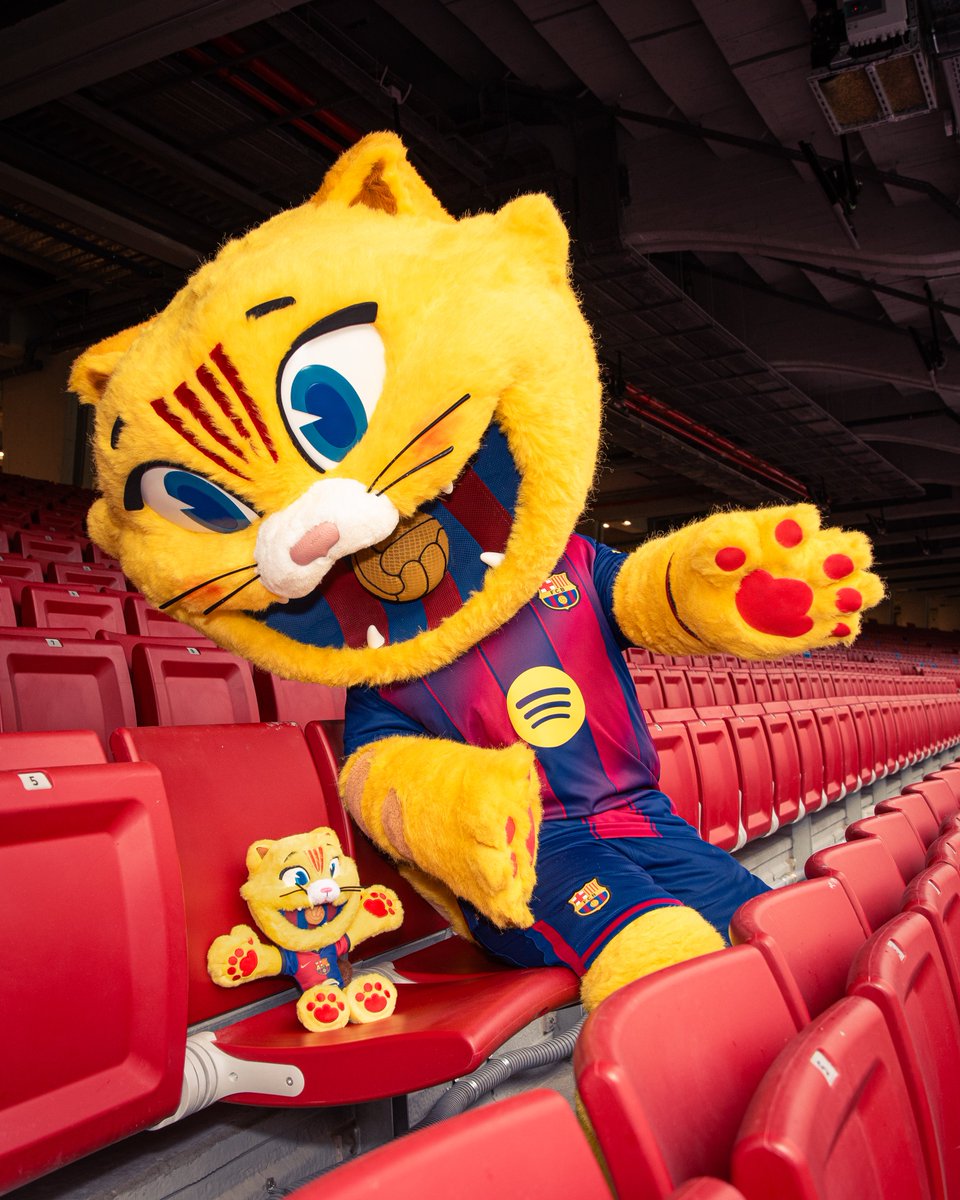 FCBarcelona_cat's tweet photo. He intentat viure sense abraçades… 
Spoiler: no puc 🐱🧸 
Aquest dijous em tornareu a trobar a les Barça Botigues😽😻 https://t.co/5hCHI1Vh9f