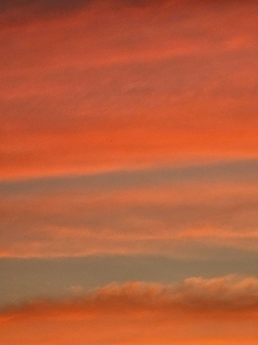 necrosiz_bank's tweet image. ฟ้าเย็นนี้