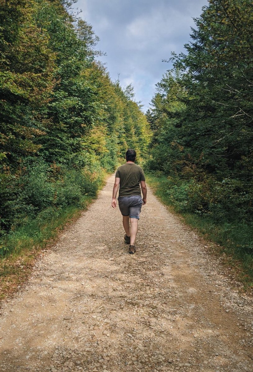 Amanda Lundberg tweet media