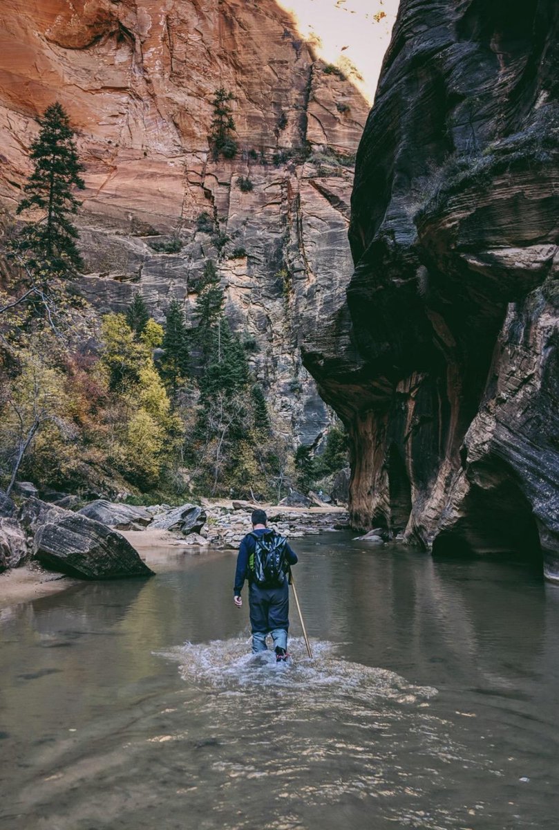 Amanda Lundberg tweet media