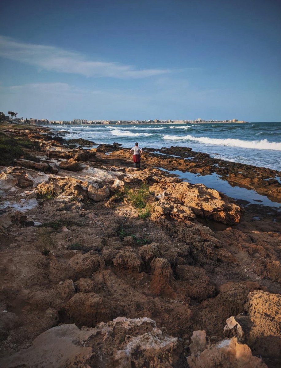 Amanda Lundberg tweet media