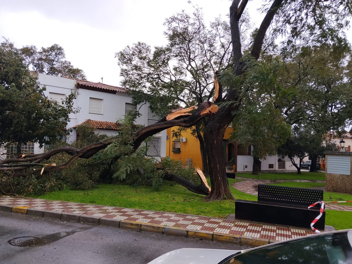 MeteoCádiz tweet media