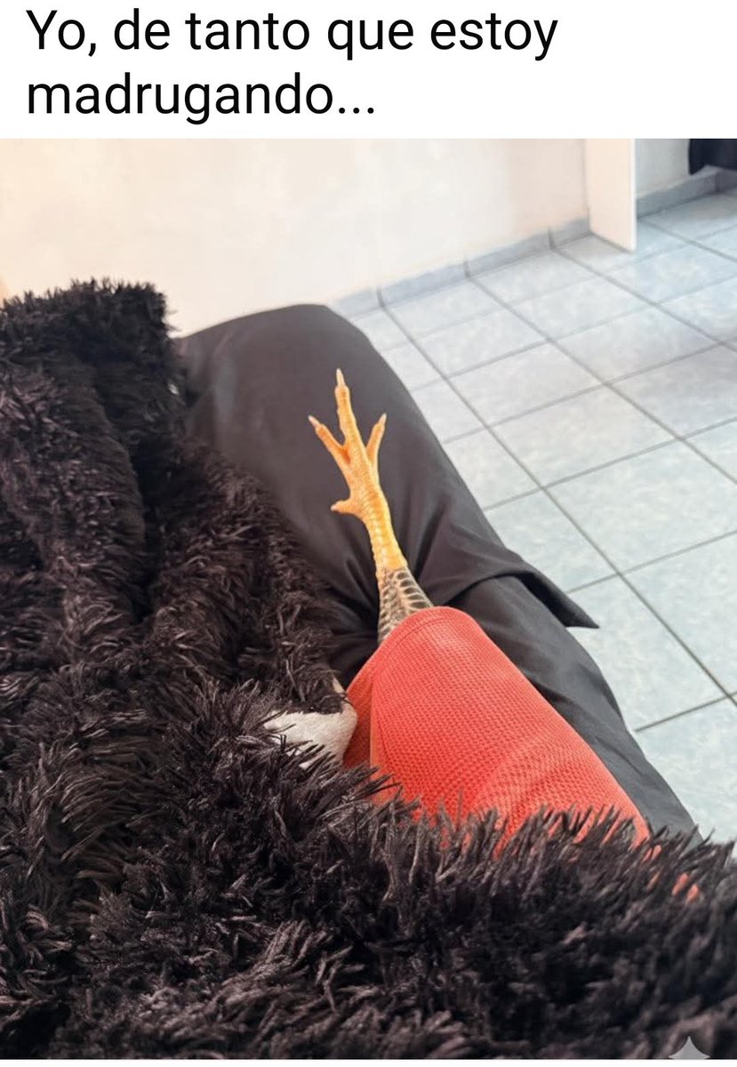 Barbie ❤️❤️❤️ tweet media