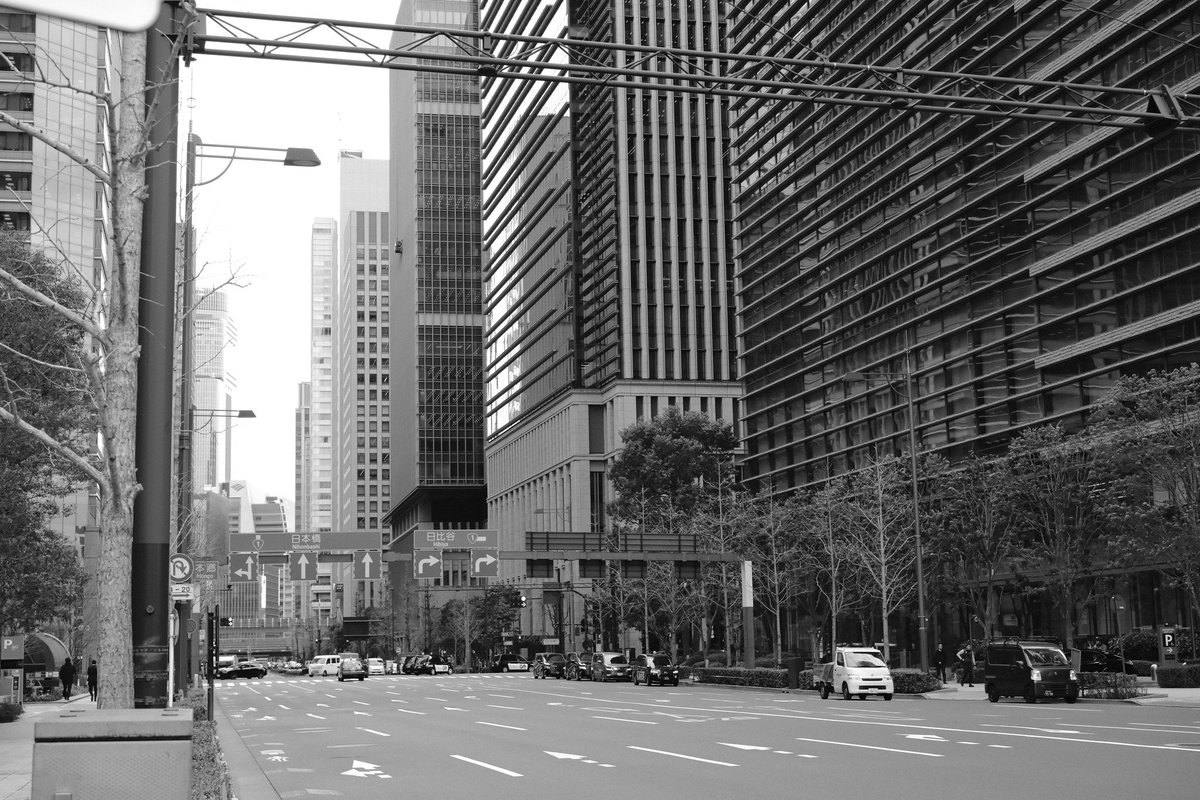 今日はモノクロ写真に挑戦。 ふわっとさせるよりカリッとした写真の方