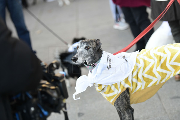 EFE LaFototeca tweet media