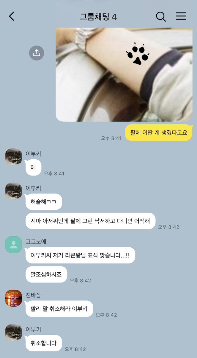 잊혀진 라쿤족의 표식