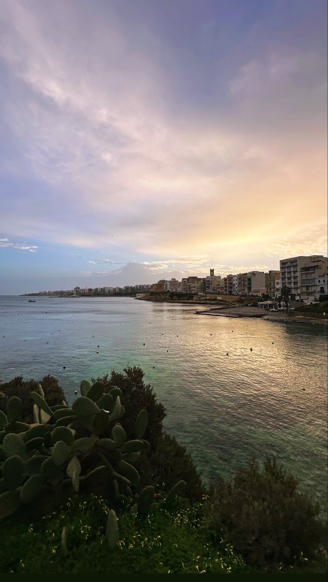 Albert Varacallo III tweet media