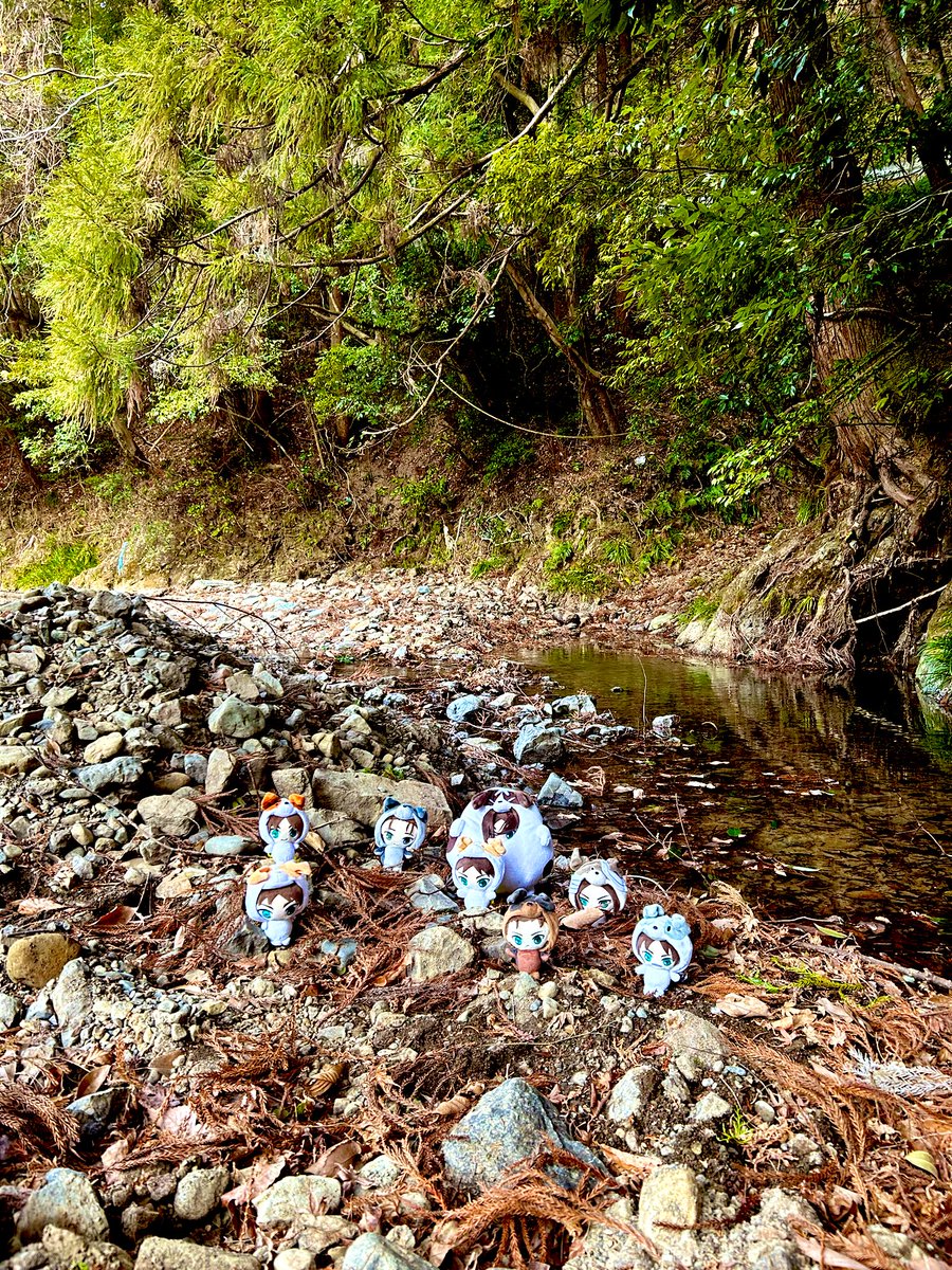 🐶🐶🐶🐶🐶🐶🐶🐶