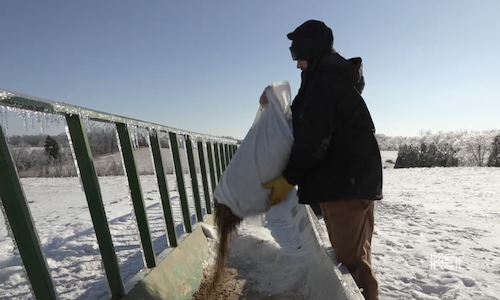 Power outages in southern Kentucky are especially challenging for the region's farmers who are struggling to keep their families warm and their livestock fed and watered. ow.ly/qZ0450Y4FBq