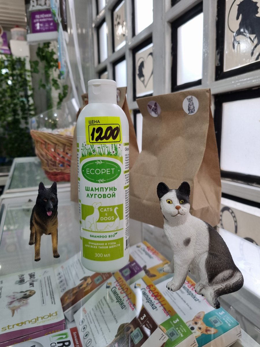 equus.am tweet media