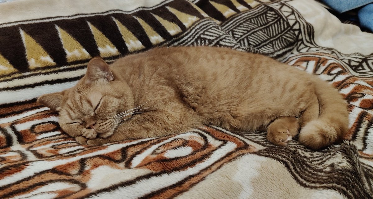 RU/ENG | Я Майя | Принцесса стекла tweet media