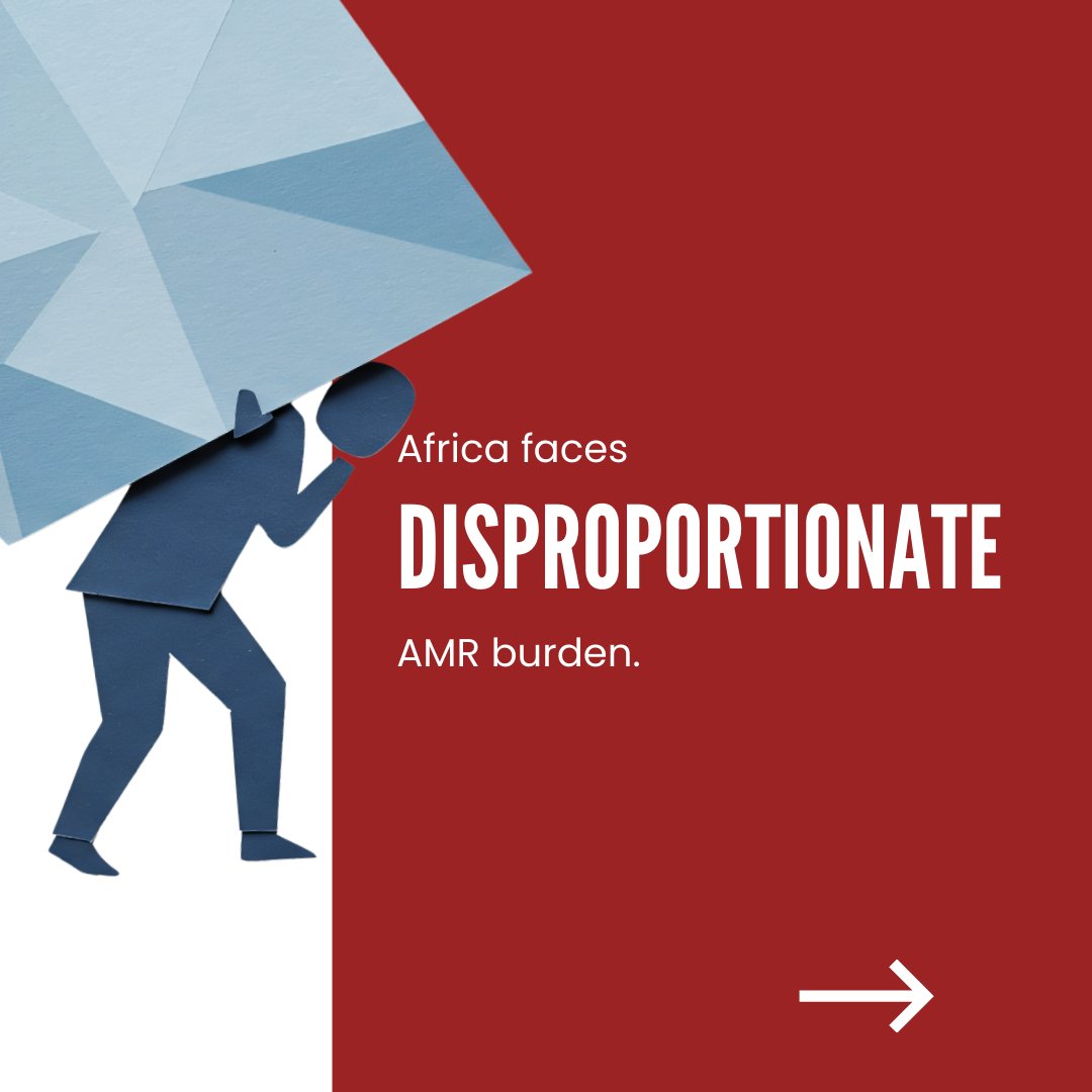 ReAct Africa Network (RAN) tweet media