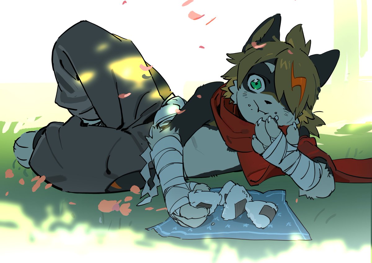 不达哒东 tweet media