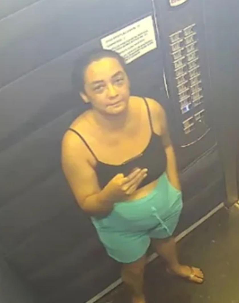 CrimesReais's tweet image. 🚨AGORA: Corpo de corretora que estava desaparecida desde dezembro em Caldas Novas é encontrado em mata. O síndico do prédio e o filho dele foram presos.