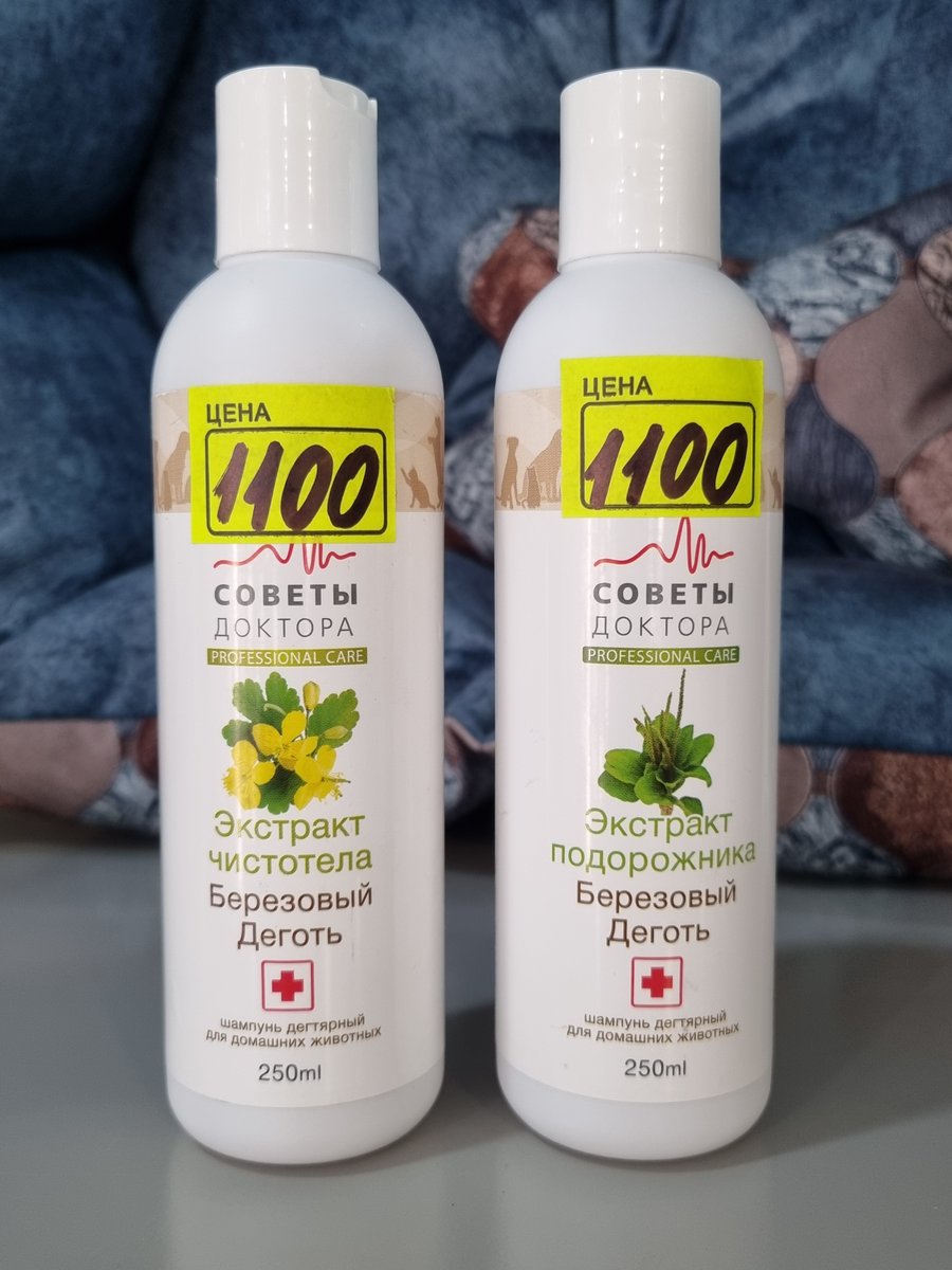 equus.am tweet media