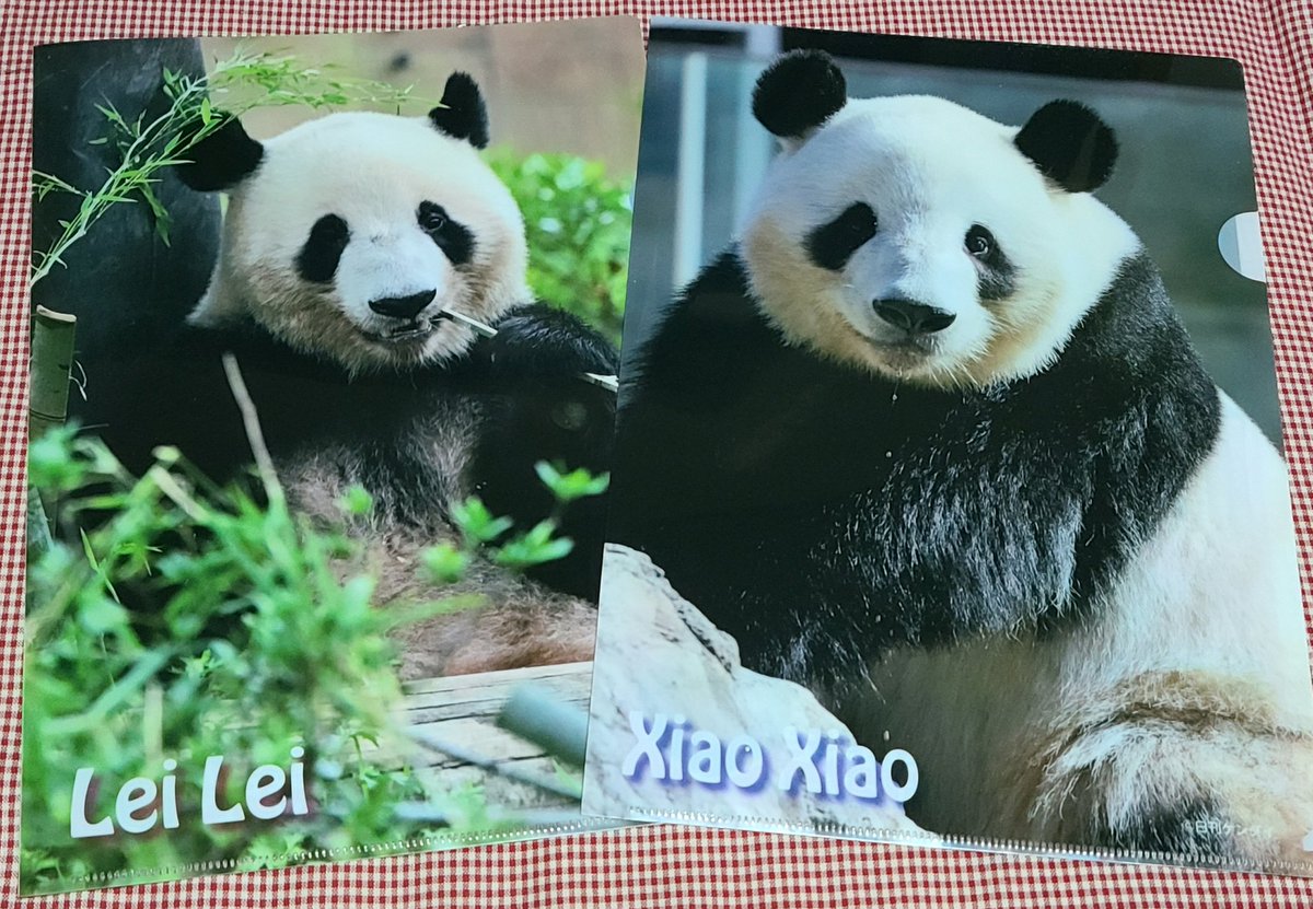 日刊パンダイ (@nikkan_pandai) / Posts / X