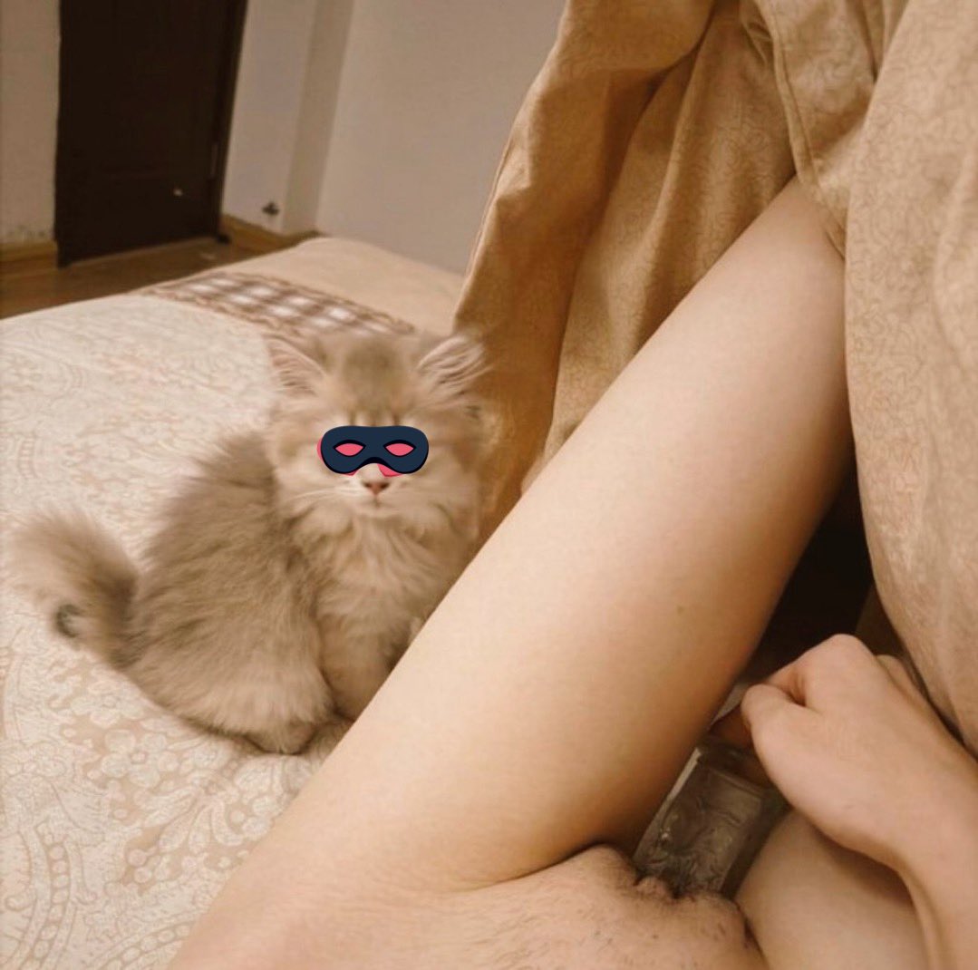 𓏲 𓈒 tweet media