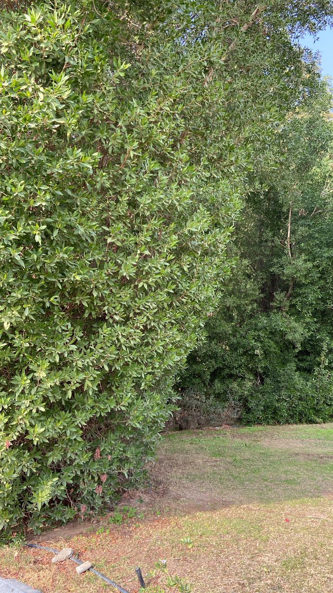 عشوائيات اليوم الرهيب 🥇