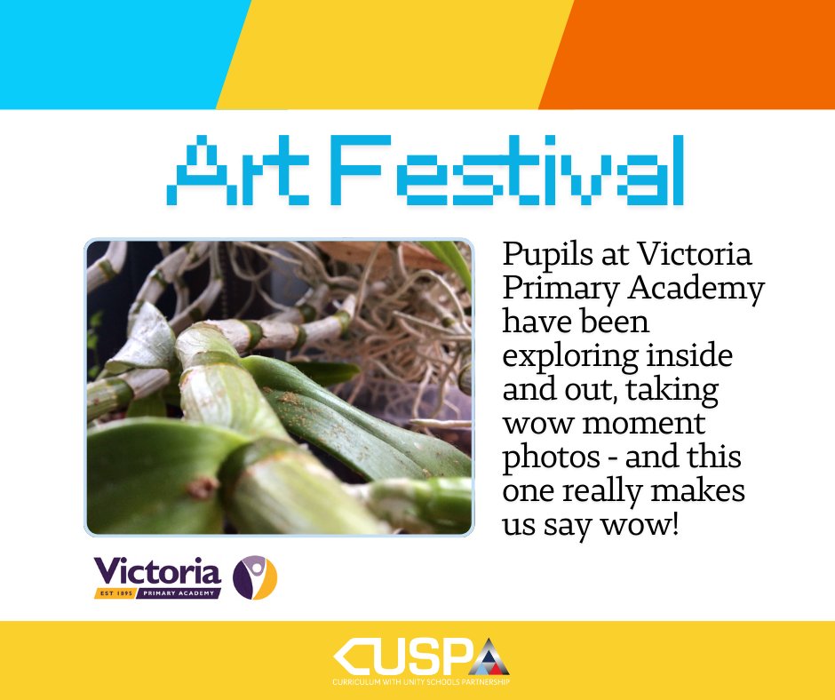 Curriculum with USP tweet media