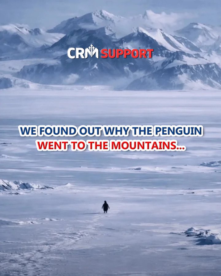 CRMSupportonlin's tweet photo. MYSTERY SOLVED!
The penguin went to the mountains for CRM Support Online's best-in-class service 🏔️💻
When you need expert CRM solutions, you go the extra mile.
Ready to elevate your business? 🚀

#CRMSupport #BusinessGrowth #TechSolutions #PENGUIN #butwhy #NihilistPenguin #Trend https://t.co/6oYrKcI1CO
