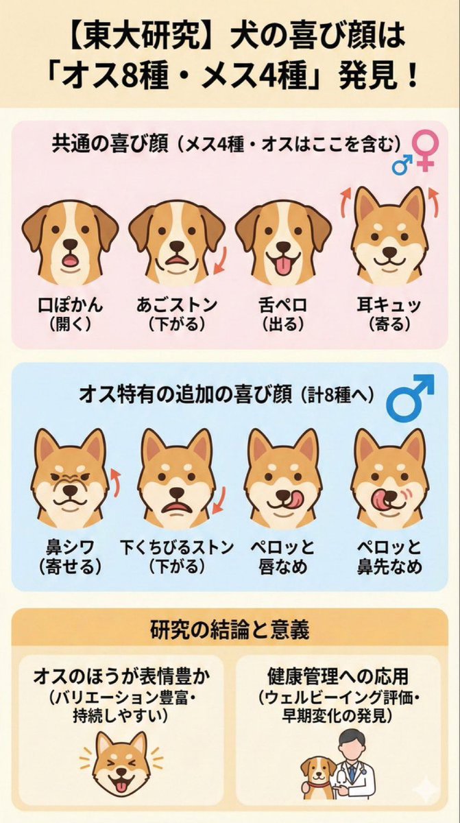 naksusso1919's tweet image. 