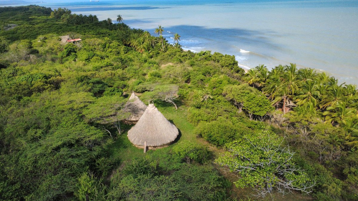 Amazon Conservation Team tweet media