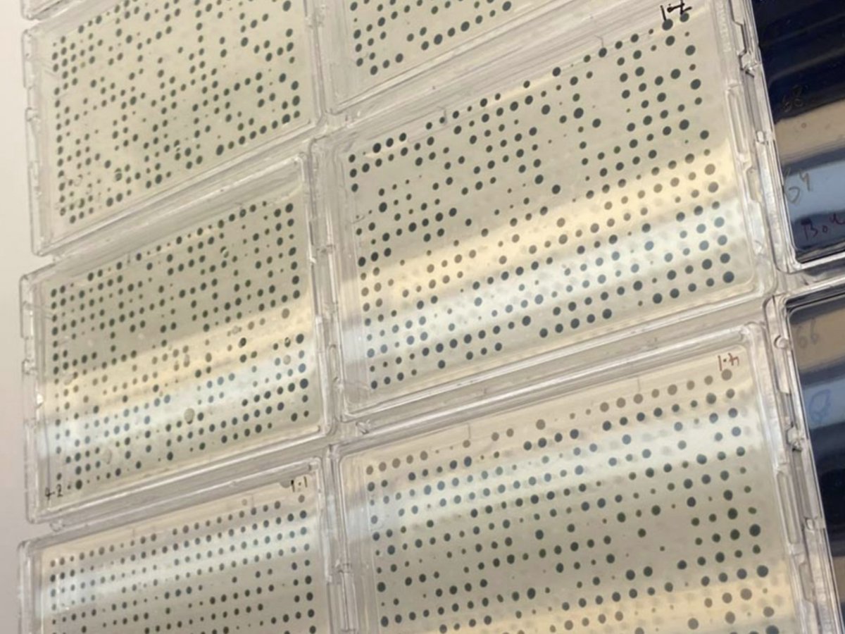 Singer Instruments tweet media