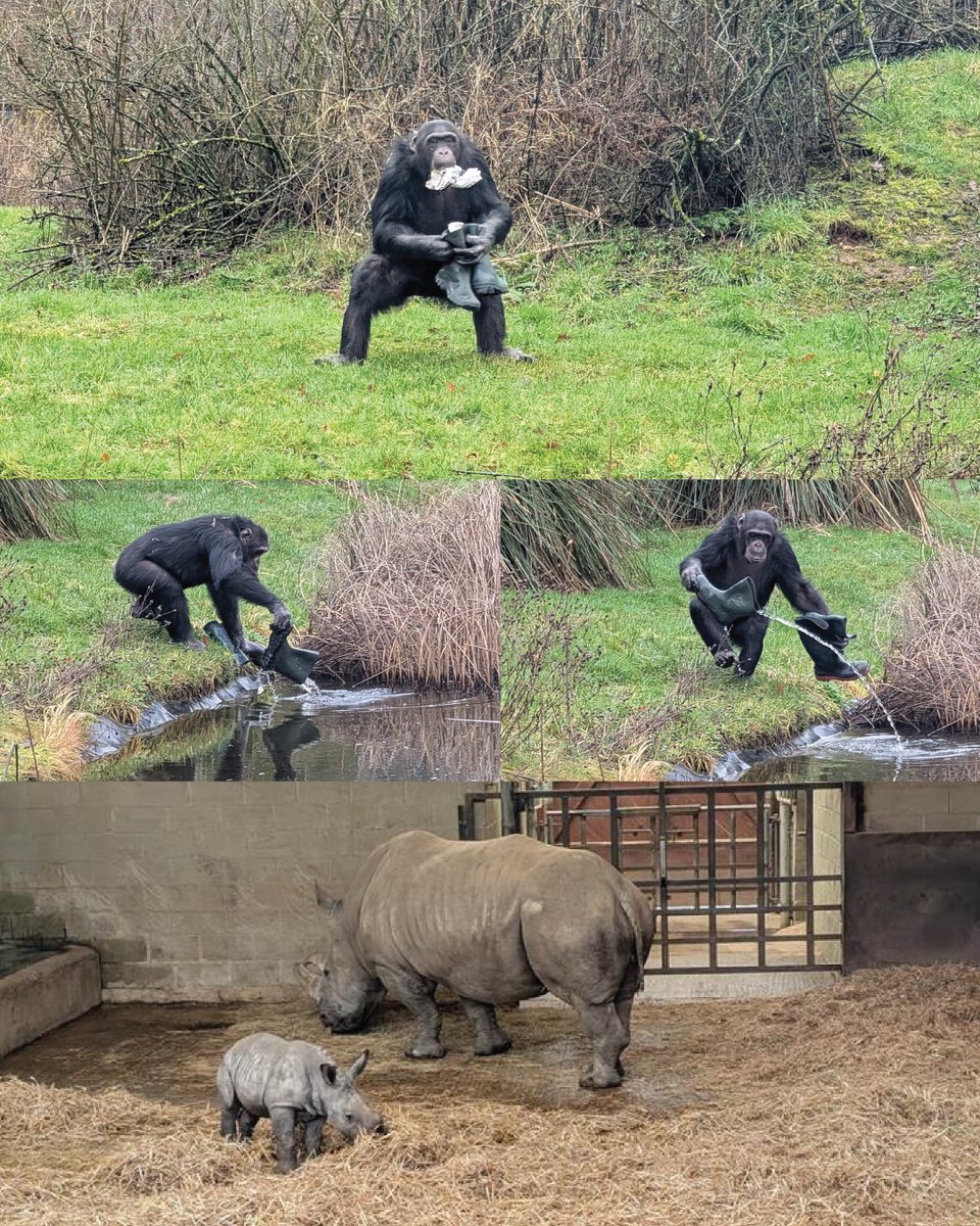 Halesowen College tweet media