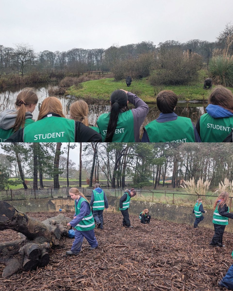 Halesowen College tweet media