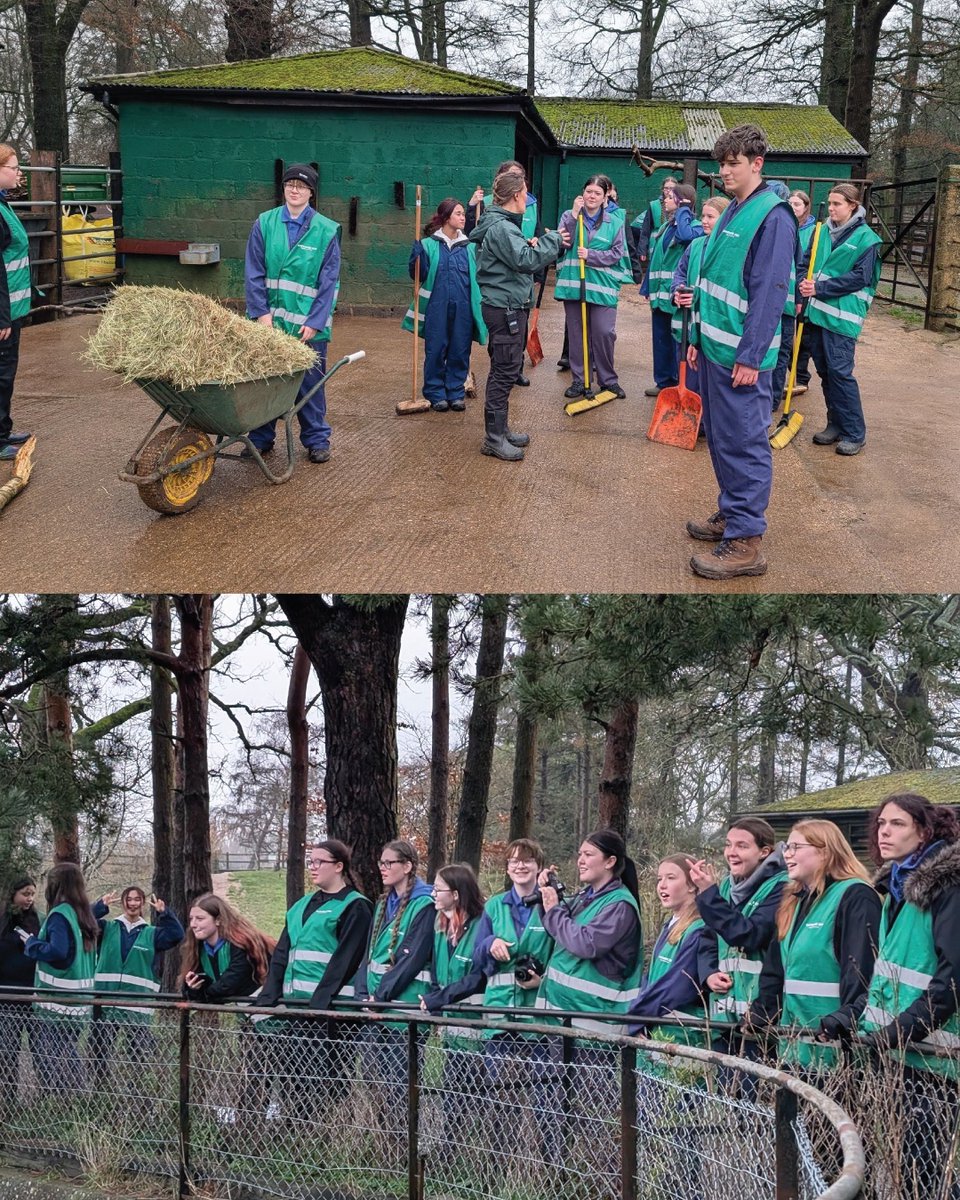 Halesowen College tweet media