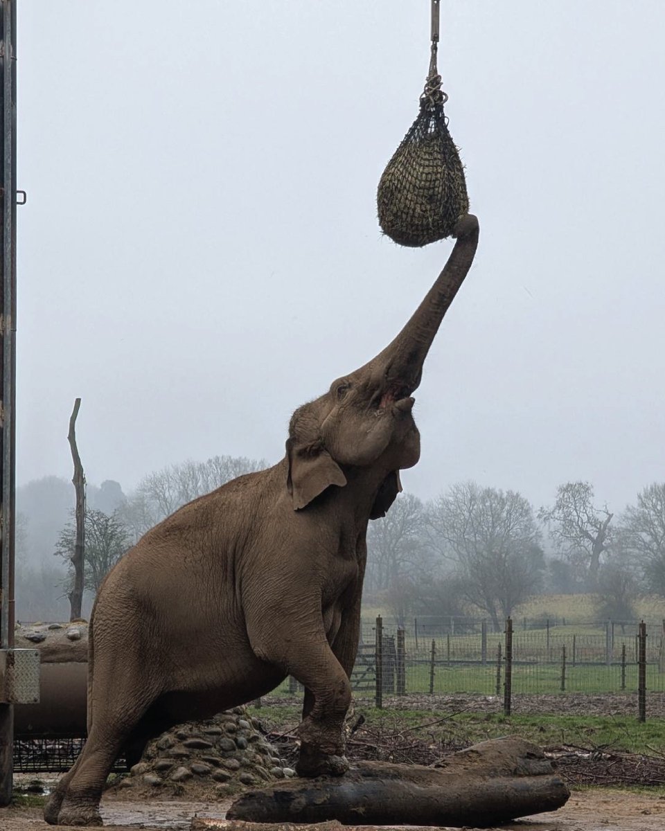 Halesowen College tweet media