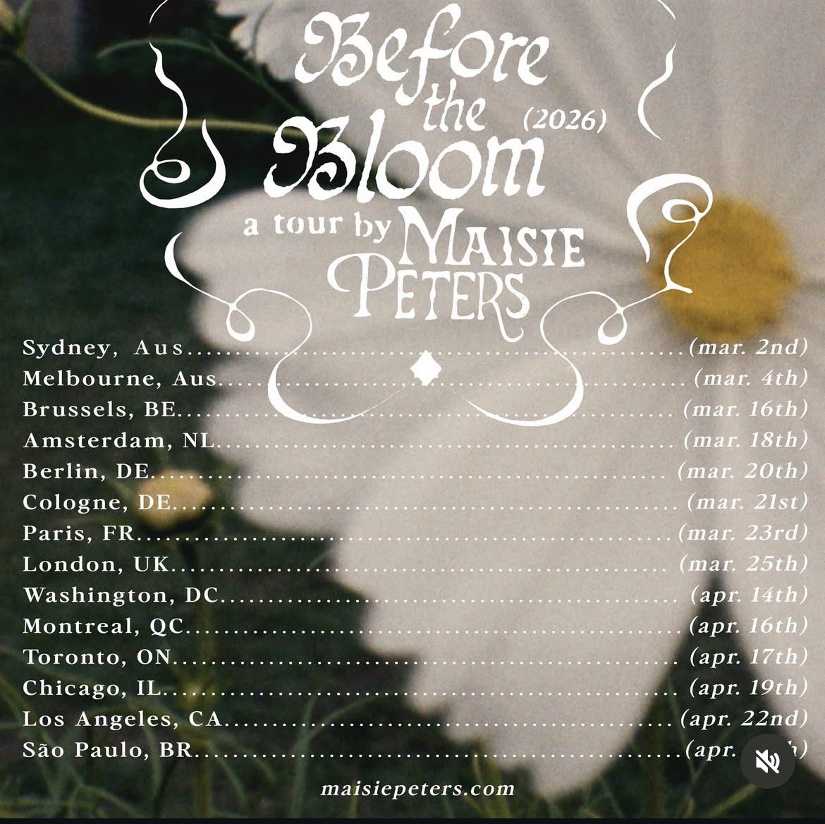 cass ✨❤️‍🔥 tweet media