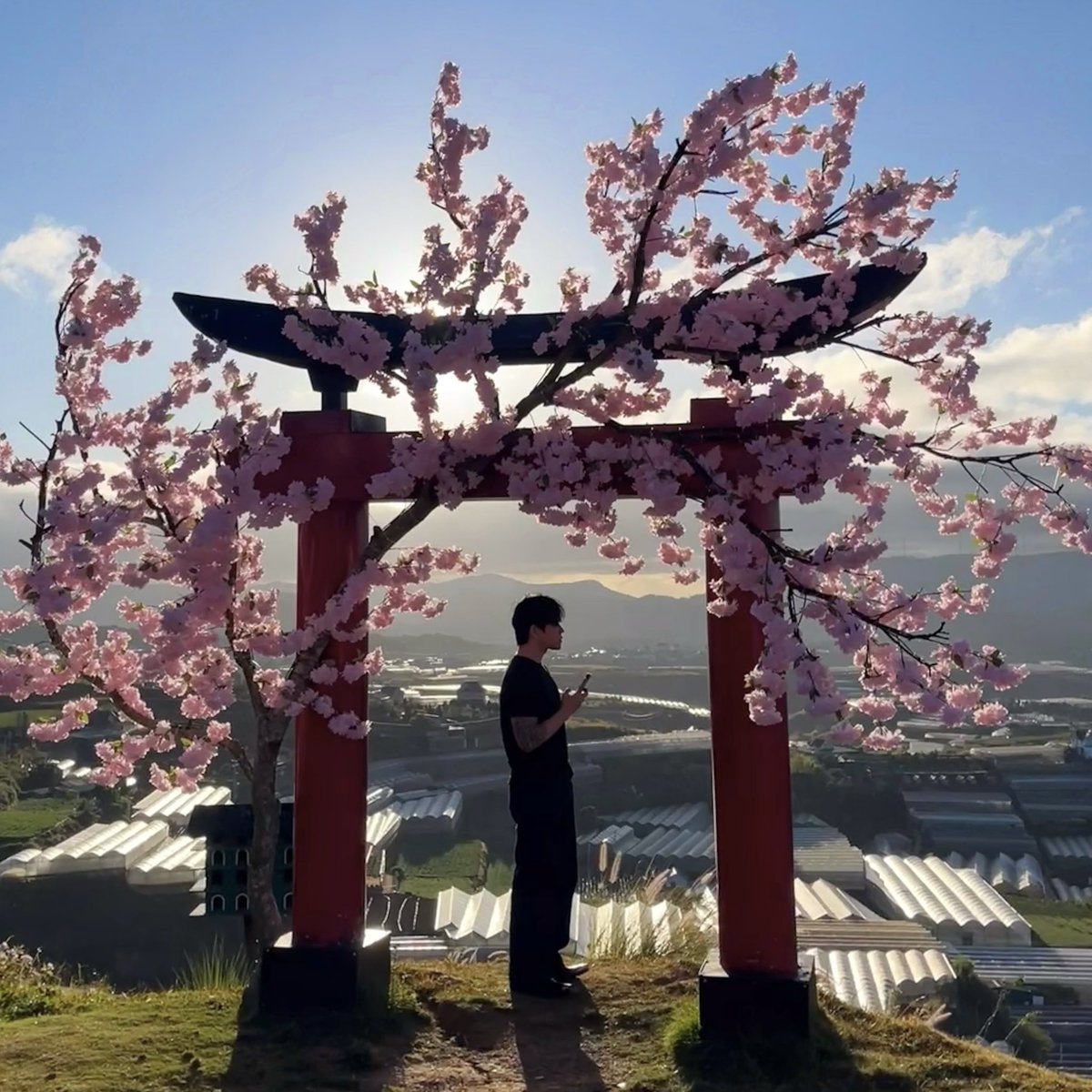 KAZE ❄️ tweet media